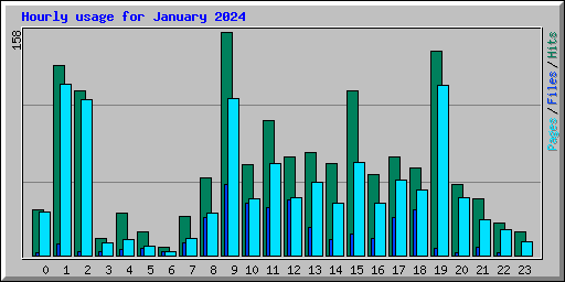 Hourly usage for January 2024