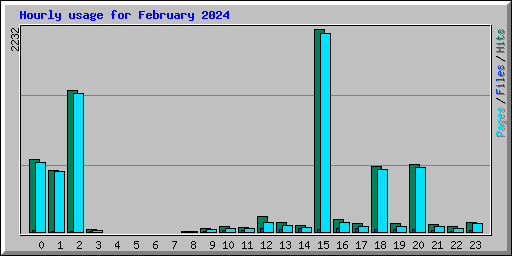 Hourly usage for February 2024