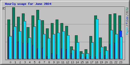 Hourly usage for June 2024