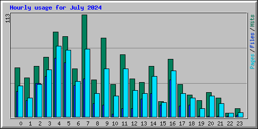 Hourly usage for July 2024
