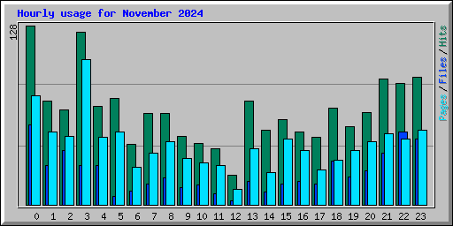 Hourly usage for November 2024