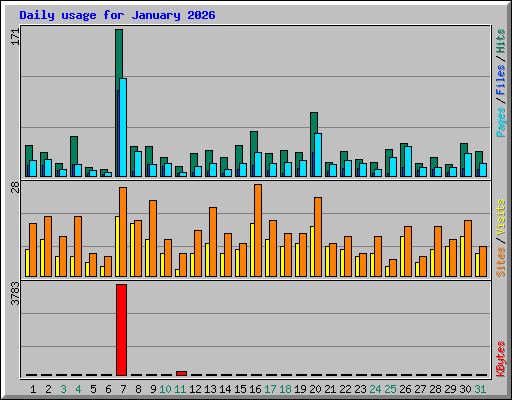 Daily usage for January 2026