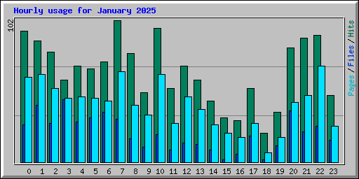 Hourly usage for January 2025