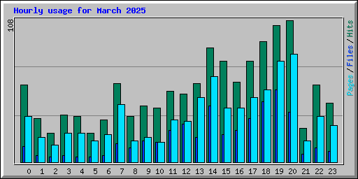 Hourly usage for March 2025