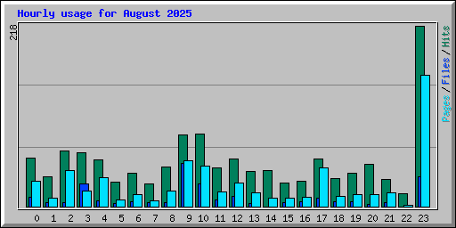 Hourly usage for August 2025