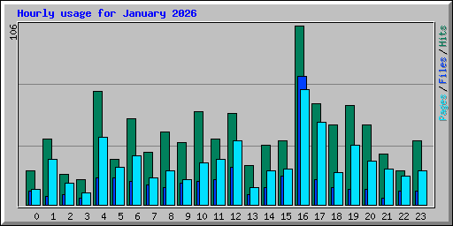 Hourly usage for January 2026