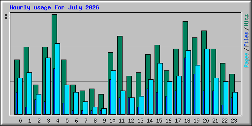 Hourly usage for July 2026